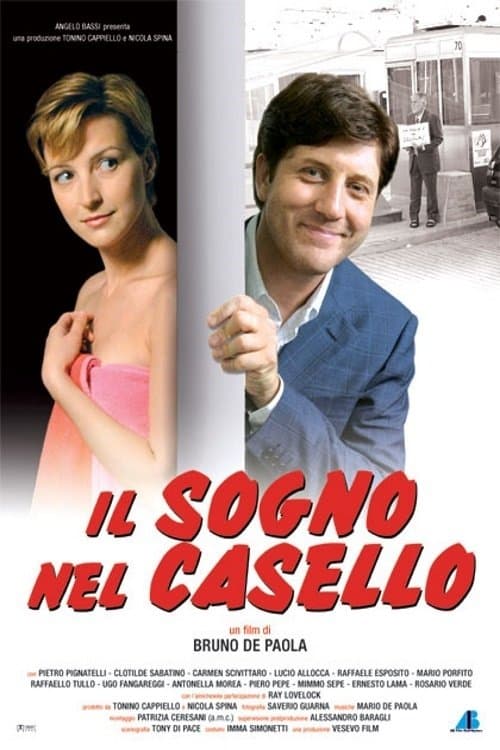 Il sogno nel caselloのポスター