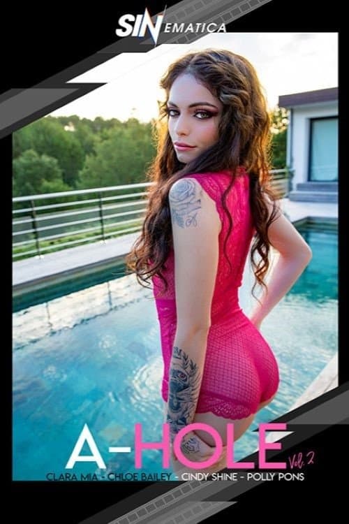 A-Hole Vol. 2のポスター