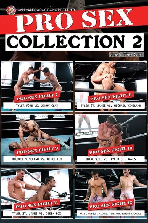 PRO SEX COLLECTION 2のポスター