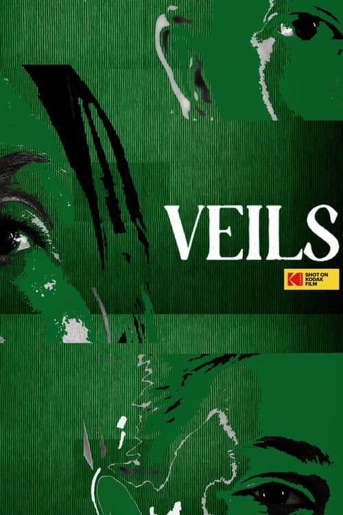 VEILSのポスター