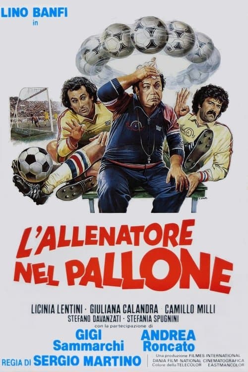 L'allenatore nel palloneのポスター