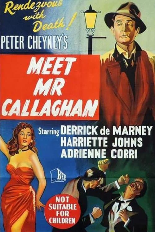 Meet Mr. Callaghanのポスター