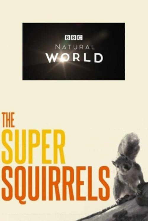 The Super Squirrelsのポスター