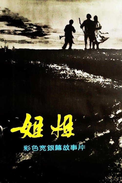姐姐のポスター