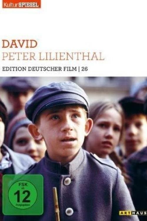 Davidのポスター