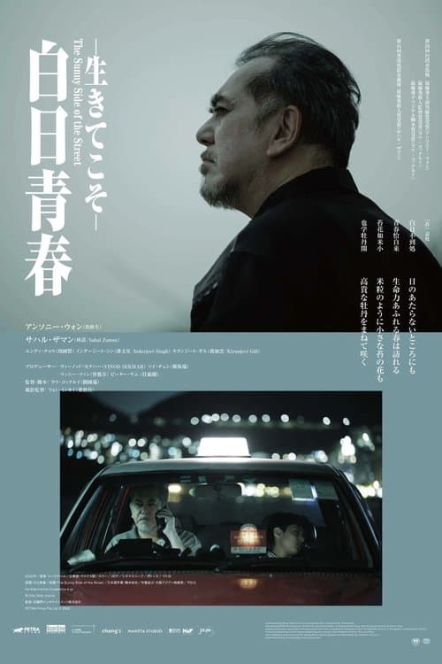 白日青春のポスター