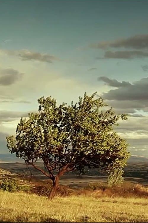 Dudukのポスター