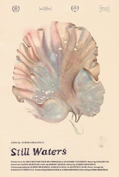 Still Watersのポスター