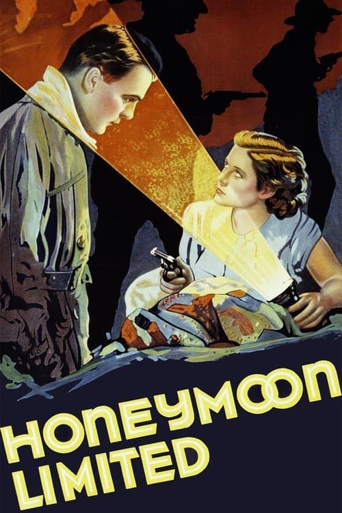 Honeymoon Limitedのポスター