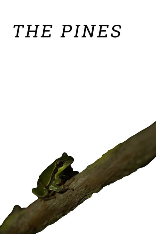 The Pinesのポスター
