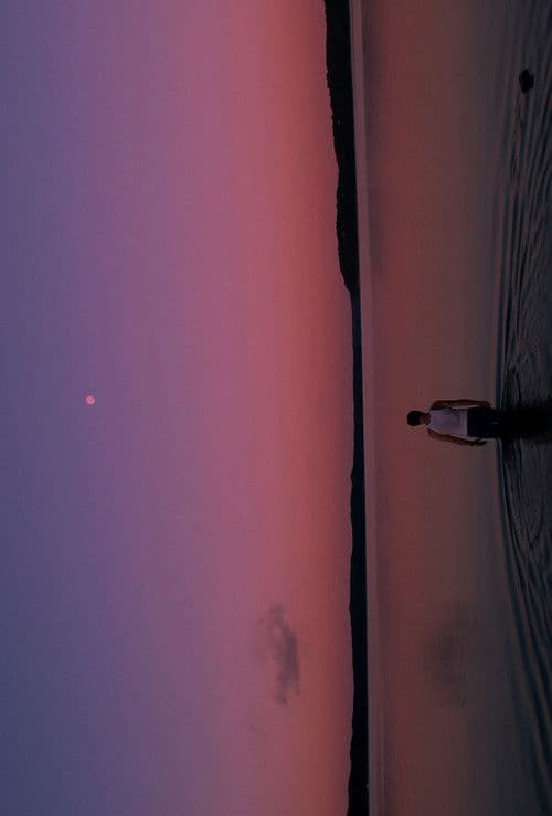 THE WATERS (his)のポスター