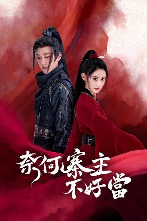 奈何寨主不好当のポスター