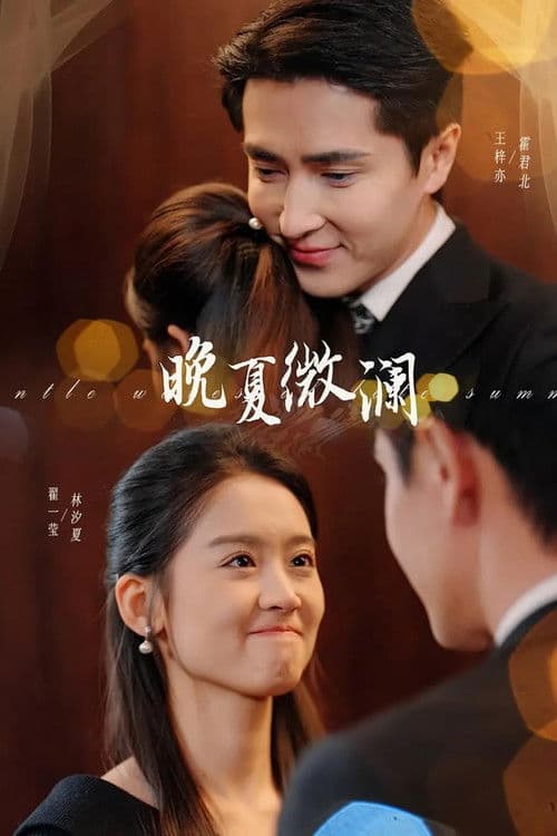 晚夏微澜のポスター