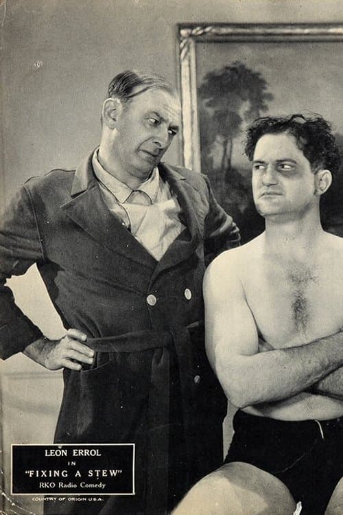 Fixing a Stewのポスター