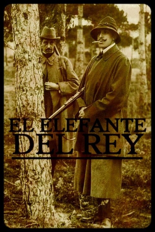 El elefante del reyのポスター