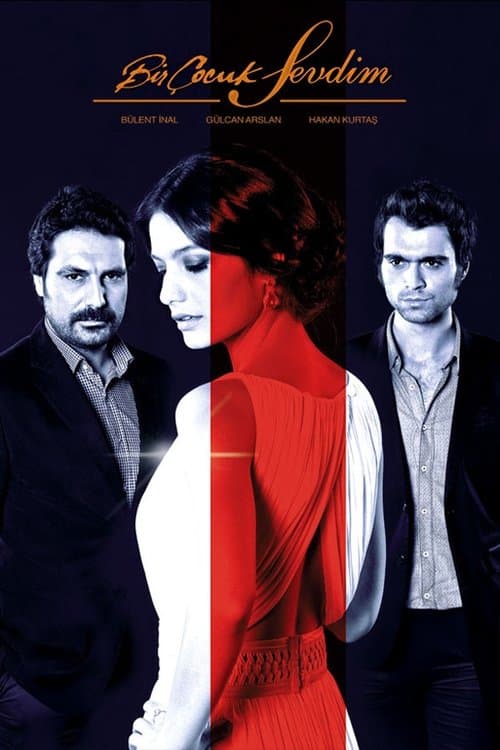 Bir Çocuk Sevdimのポスター