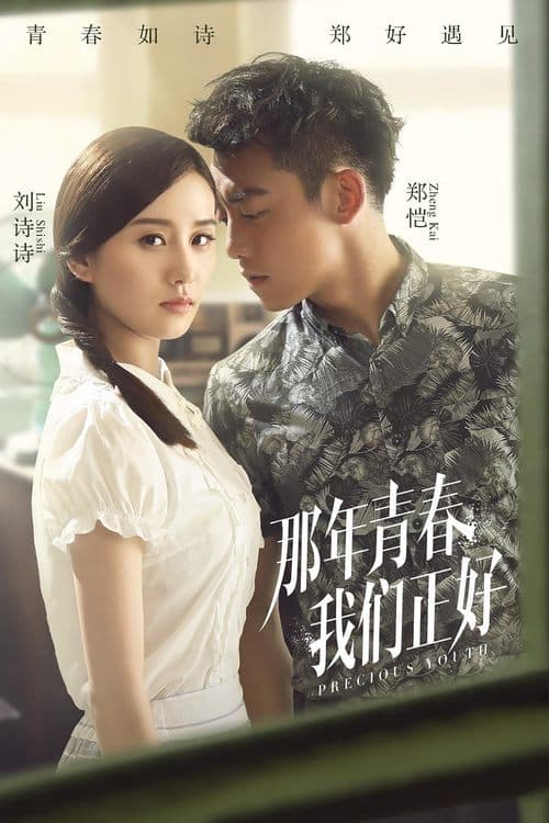 那年青春我们正好のポスター