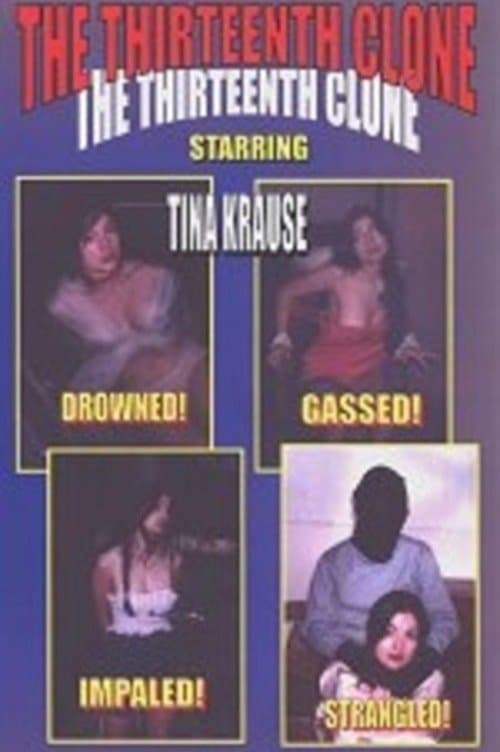 The Thirteenth Cloneのポスター