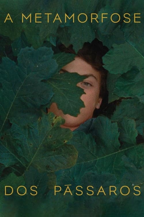 A Metamorfose dos Pássarosのポスター