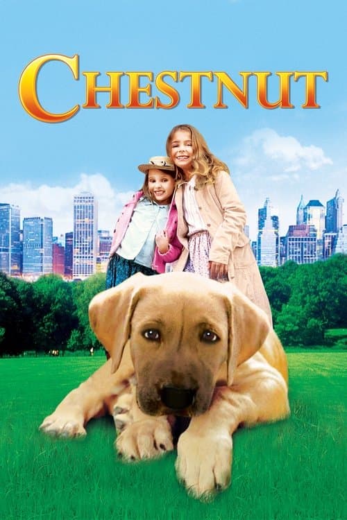 Chestnut: Hero of Central Parkのポスター