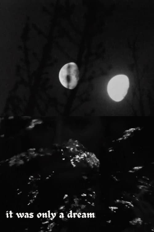 it was only a dreamのポスター