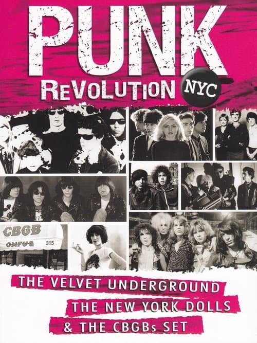 Punk Revolution NYCのポスター