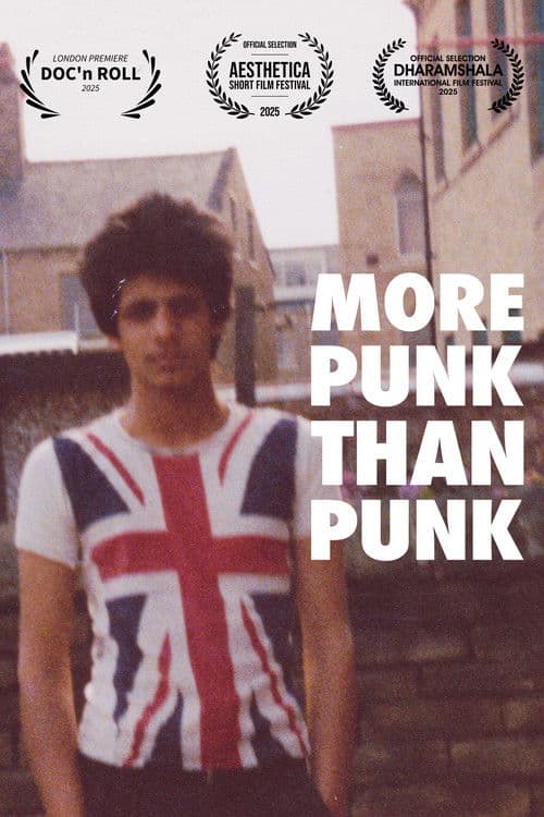 More Punk Than Punkのポスター