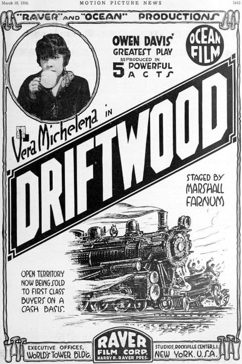 Driftwoodのポスター
