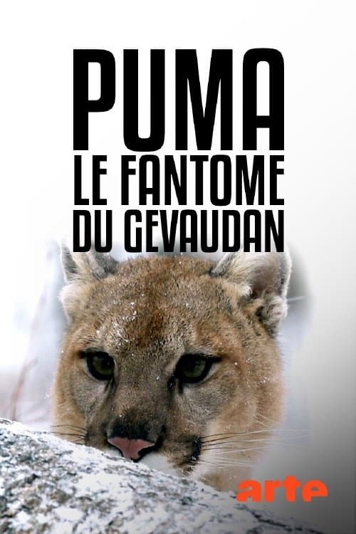 Puma, le fantôme du Gévaudanのポスター