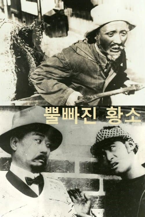 뿔빠진 황소のポスター
