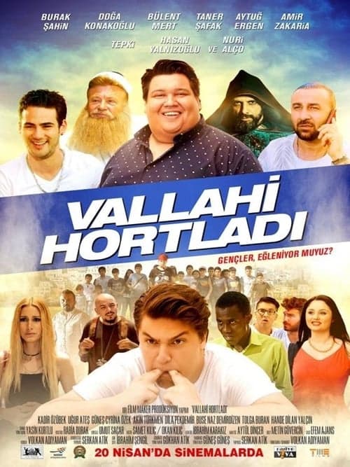 Vallahi Hortladıのポスター