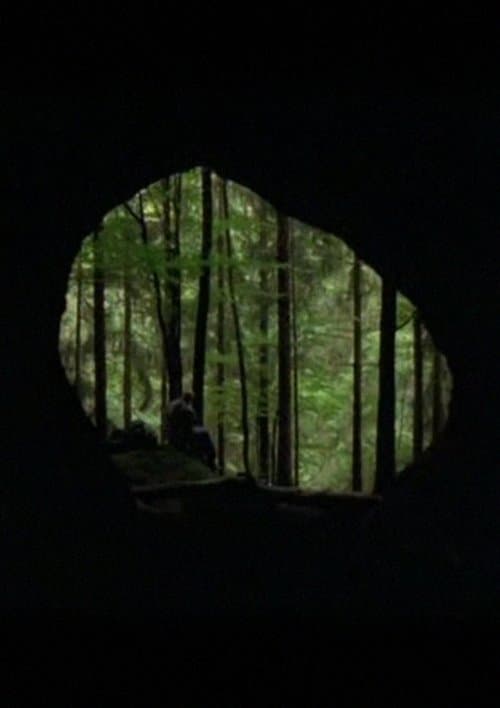 La Guitare de diamantsのポスター