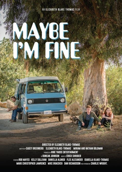 Maybe I'm Fineのポスター