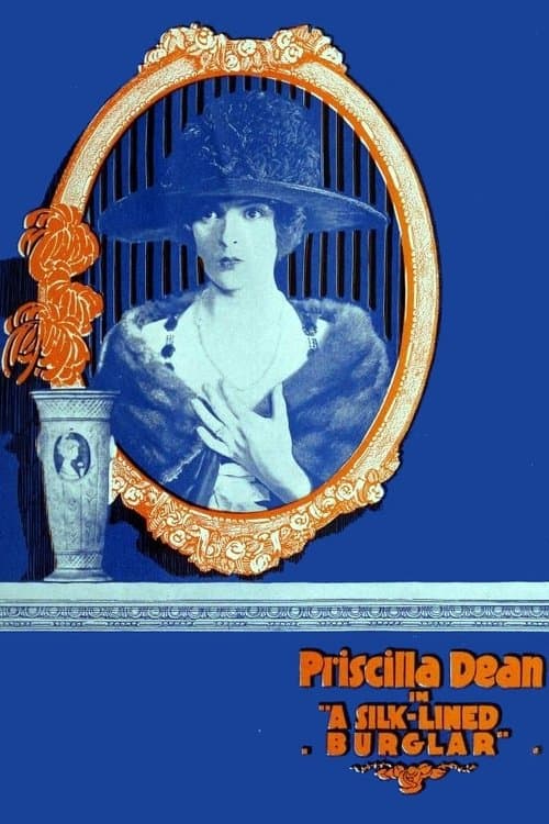 The Silk Lined Burglarのポスター