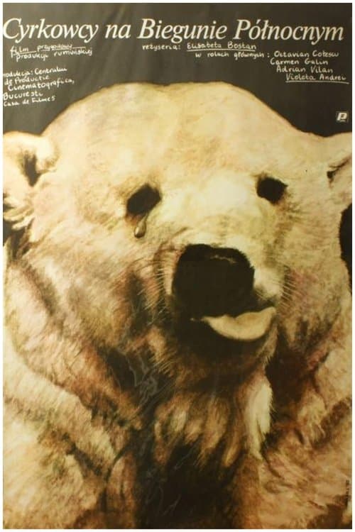 Un saltimbanc la Polul Nordのポスター