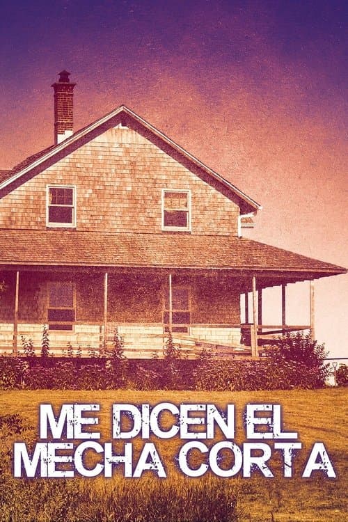 Me dicen el mecha cortaのポスター
