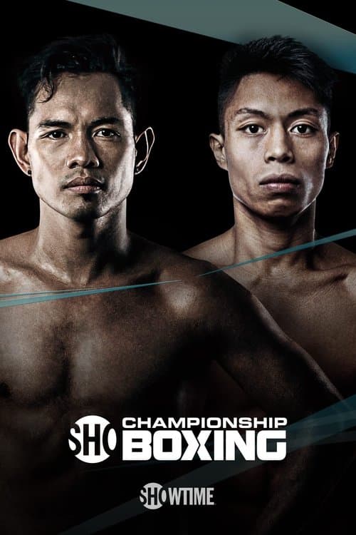 Nonito Donaire vs. Reymart Gaballoのポスター