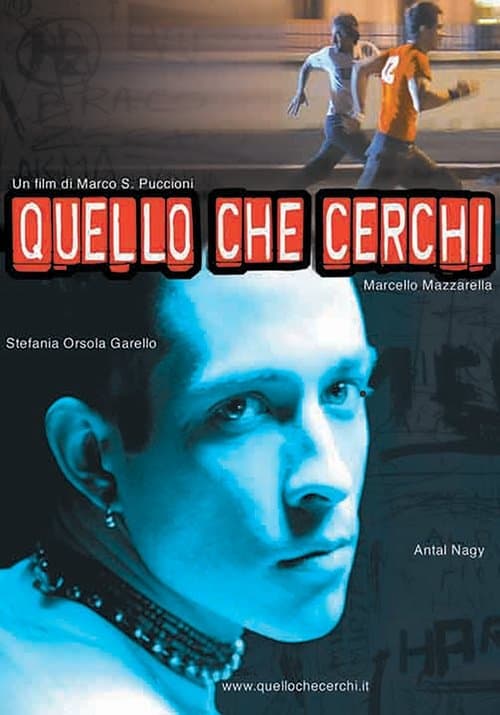 Quello che cerchiのポスター