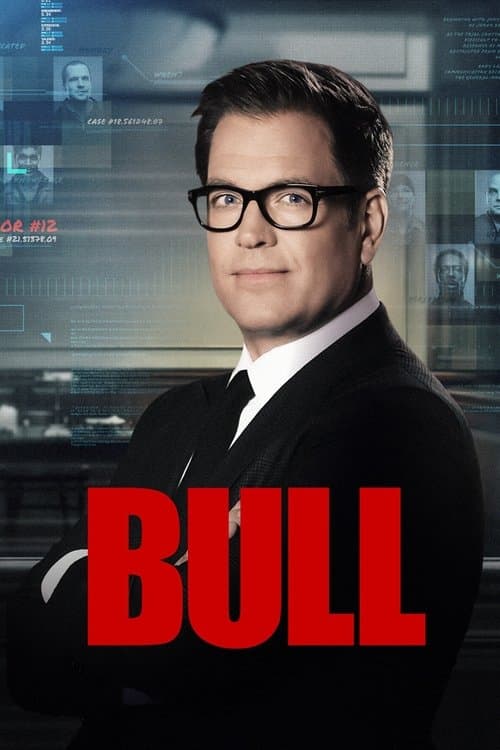 BULL / ブル 法廷を操る男のポスター