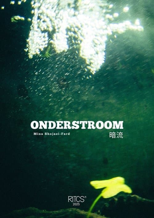 Onderstroom - 暗流のポスター