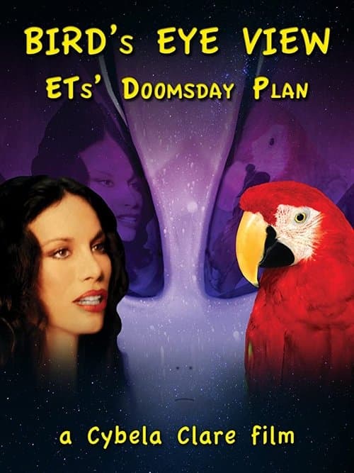 Bird's Eye Viewのポスター