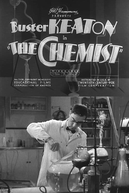 The Chemistのポスター