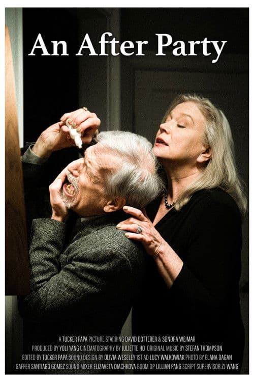 An After Partyのポスター