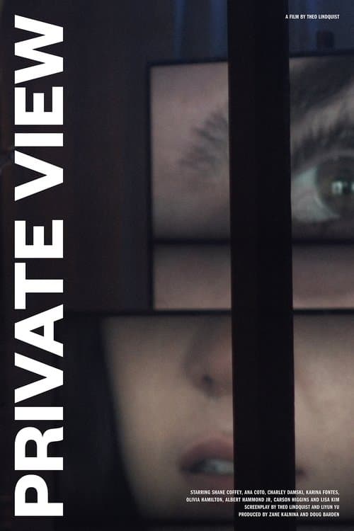 Private Viewのポスター