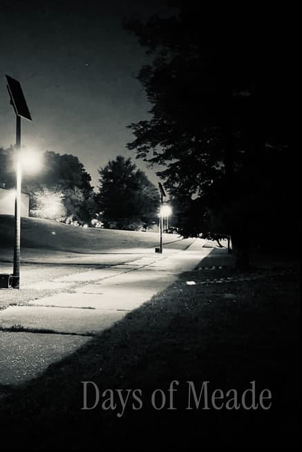 Days of Meadeのポスター
