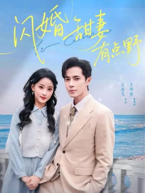 闪婚甜妻有点野のポスター