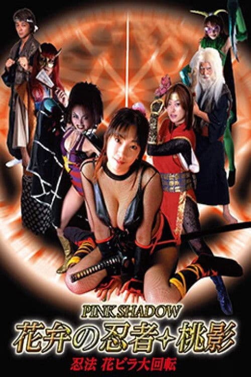 花弁の忍者桃影:忍法花ビラ大回転のポスター