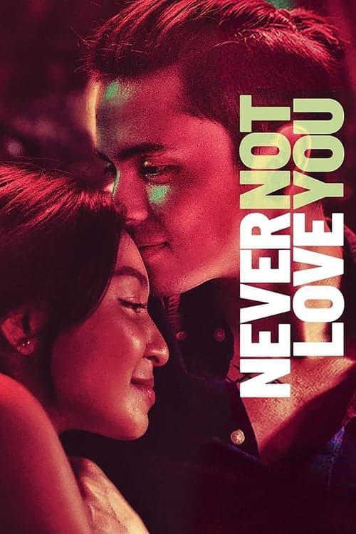 Never Not Love Youのポスター