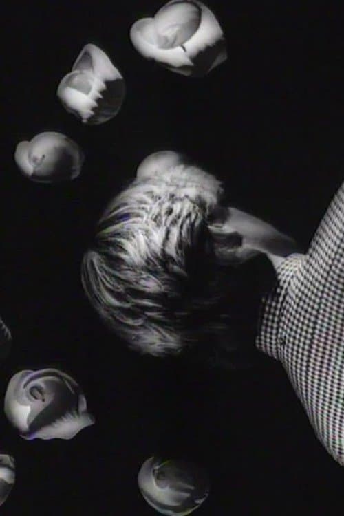 Red Guitarのポスター