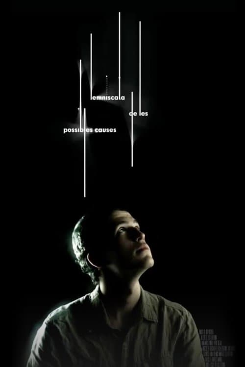 Lemniscata de les possibles causesのポスター